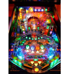 Fish Tales Pinball Machine by Williams