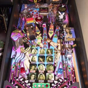 Playboy pinball machine.